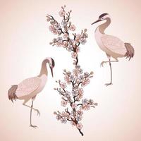 two herons birds and japanese cherry vector illustration,