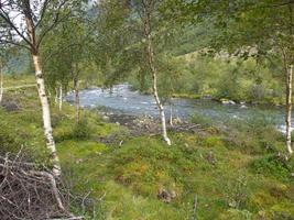 the fjords of norway photo