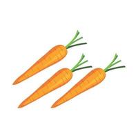 diseño de vector de zanahoria fresca