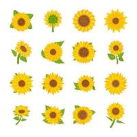 Set of Flat Spring Flower Vectors