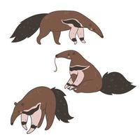 Set of cute anteaters isolated on white background. Vector graphics.