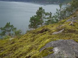 the fjords of norway photo