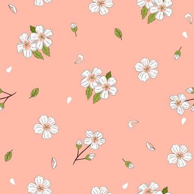 Seamless pattern with white cherry flowers on a pink background. Vector graphics.