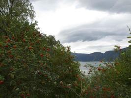 the fjords of norway photo