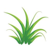 Trendy Green Grass vector