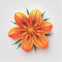 Top view a Tiger Lily flower isolated on a white background, suitable for use on Valentine's Day cards photo