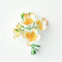 vista superior de una flor de fresia aislada en un fondo blanco, adecuada para usar en las tarjetas del día de San Valentín foto