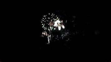 nieuw jaar vuurwerk tonen video