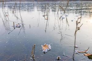 imagen de una hoja cubierta de cristales de hielo en un lago congelado durante el día foto