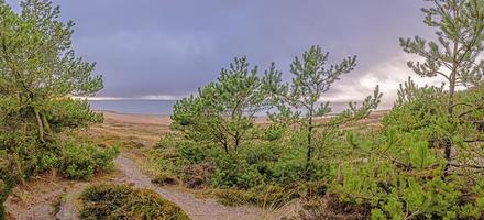 imagen de la playa en la bahía de stillingen en dinamarca durante el día foto