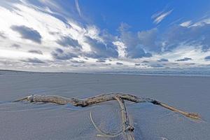 imagen invernal de jetsam en una playa del mar del norte cerca de vejers foto