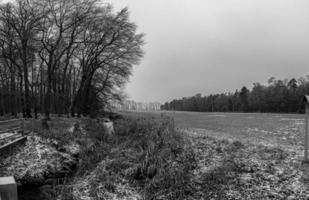 imagen de un arroyo que fluye a través de un bosque de invierno foto