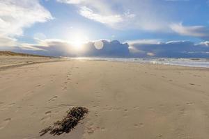 Winter image of a North Sea beach near Vejers at sunset photo