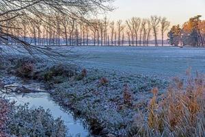 Image of a stream flowing through a winter forest photo