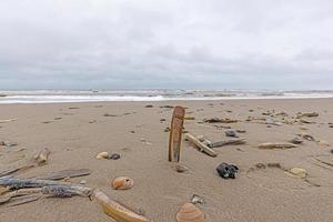 Image of shells and stones on a North Sea beach in Denmark in winter photo