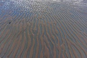 Image of shells and stones on a North Sea beach in Denmark in winter photo