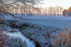 Image of a stream flowing through a winter forest photo