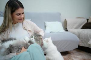 una joven trabaja en casa mientras un gato persa blanco foto
