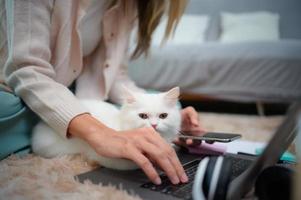 una joven trabaja en casa mientras un gato persa blanco foto
