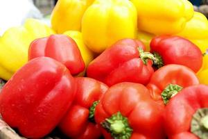 red and yellow capsicum stock photo