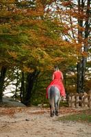 una mujer con un vestido rojo se sienta en un caballo, un paseo otoñal por el bosque. foto