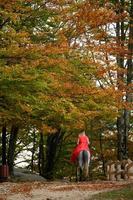 una mujer con un vestido rojo se sienta en un caballo, un paseo otoñal por el bosque. foto