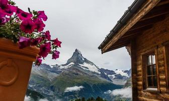 Senderismo en los alpes suizos con campo de flores y el pico Matterhorn al fondo. foto