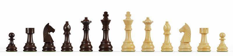 Set of wooden chess on a white background. 3D rendering illustration. photo