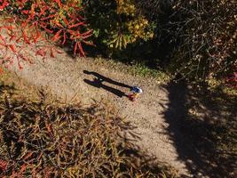 couple in love autumn, beautiful shadow, view from the top photo