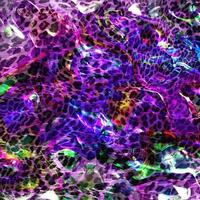 Leopard skin pattern abstract style,Textile and fashion fabric,Vintage style texture,Animal skin background,Leopard designed textile print pattern,Abstract leopard texture design photo