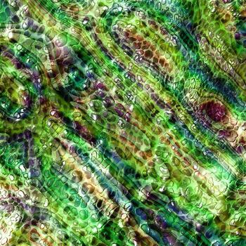 Leopard skin pattern abstract style,Textile and fashion fabric,Vintage style texture,Animal skin background,Leopard designed textile print pattern,Abstract leopard texture design photo