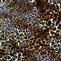 Leopard skin pattern abstract style,Textile and fashion fabric,Vintage style texture,Animal skin background,Leopard designed textile print pattern,Abstract leopard texture design photo