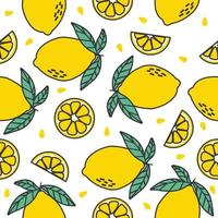 Lemon and lemon slice Fruit tropical seamless pattern vector