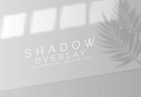 fondo de superposición de sombra realista con silueta de hoja de palma vector