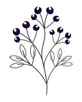 doodle berries and leaf vector