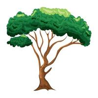 tree vector icon