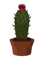 cactus houseplant icon vector