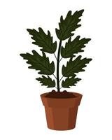 houseplant icon flat vector