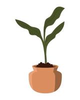 houseplant leaves nature vector