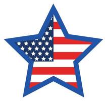US flag in star vector