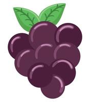 grape fruit icon vector