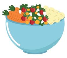 vegetarian salad icon vector