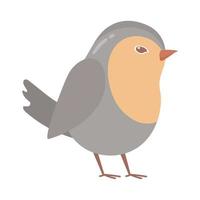 bird cute animal vector