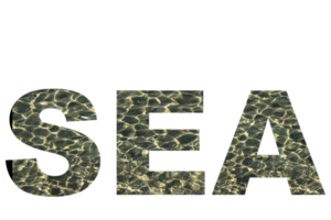 Sea, creative test, sea on transparent background. A place to copy. png