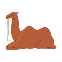 resting camel icon vector