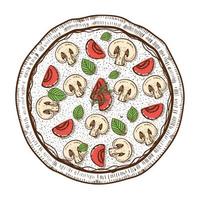 pizza food icon vector