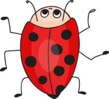 Cute ladybug.  small insect png