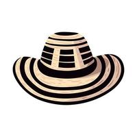 sombrero colombiano tradicional vector