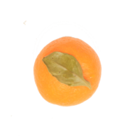 one tangerine with green leaf isolated png