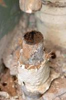 Old water pipe clogged with rust photo